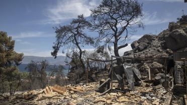 Пожежі в Греції, Греція, Лісова пожежа_4 / © Associated Press
