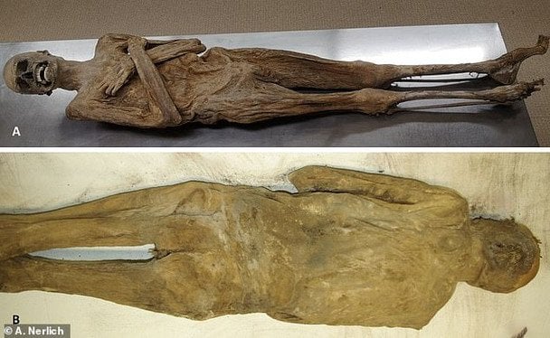 Мумия капеллана