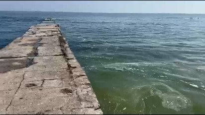 Море в Одесі пожовтіло і пахне олією
