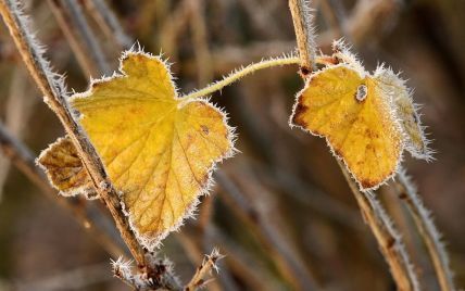 Будет холоднее, чем ноябрь и декабрь: народный синоптик дал прогноз погоды на октябрь-2021