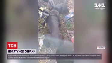 Черкаські рятувальники витягли пса, який впав до колодязя