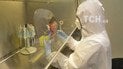 Британия, США и Канада обвинили российских хакеров в попытке похитить данные о вакцинах от коронавируса