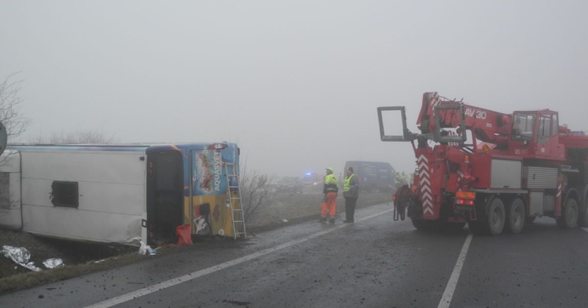 В Чехии автобус с детьми вылетел в кювет, есть пострадавшие