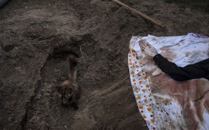 У Київській області вже виявили понад 1,3 тис. вбитих окупантами мирних людей