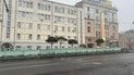 В Харькове купили сосны почти за миллион гривен каждая