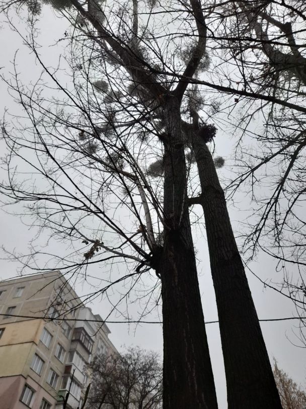 Фото потерпілої