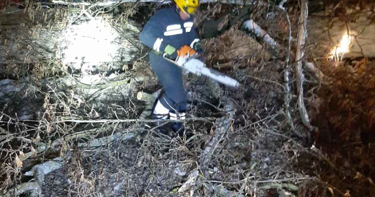 У Києві через негоду зламано 120 дерев: деякі з них впали на автівки, трамвайні колії та ЛЕП