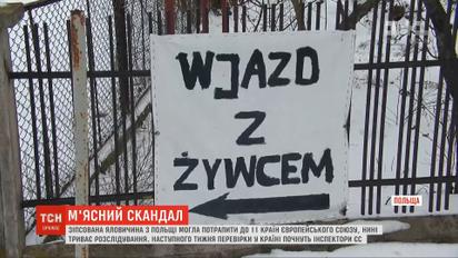 М'ясо хворих корів з Польщі могло потрапити до 11 держав ЄС – ЗМІ
