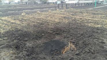 обстріл Виноградне_1 / © facebook.com/Вячеслав Аброськін