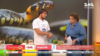 Що слід робити при укусах змій, бджіл та кліщів: поради від голови Всеукраїнської спілки парамедиків