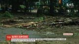 Повалені дерева та зірвані дахи: Україною пронісся потужний буревій