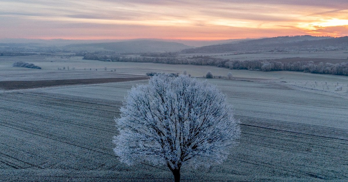 Оберіть фото і дізнайтеся, що насправді дарує вам внутрішній спокій — тест