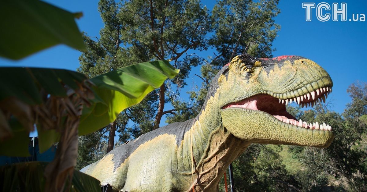 Не рік і не два: як швидко тиранозаври ставали дорослими