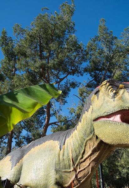 Не рік і не два: як швидко тиранозаври ставали дорослими