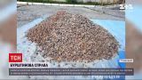 Новости Украины: полицейские нашли почти 140 килограммов янтаря у жителя Ровенской области