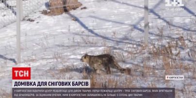 Новини світу: у Киргизстані відкрили центр реабілітації для диких тварин