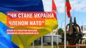 Коли Україна отримає запрошення до НАТО. Інтерв'ю зі старшим радником НАТО Робертом Пшчелом