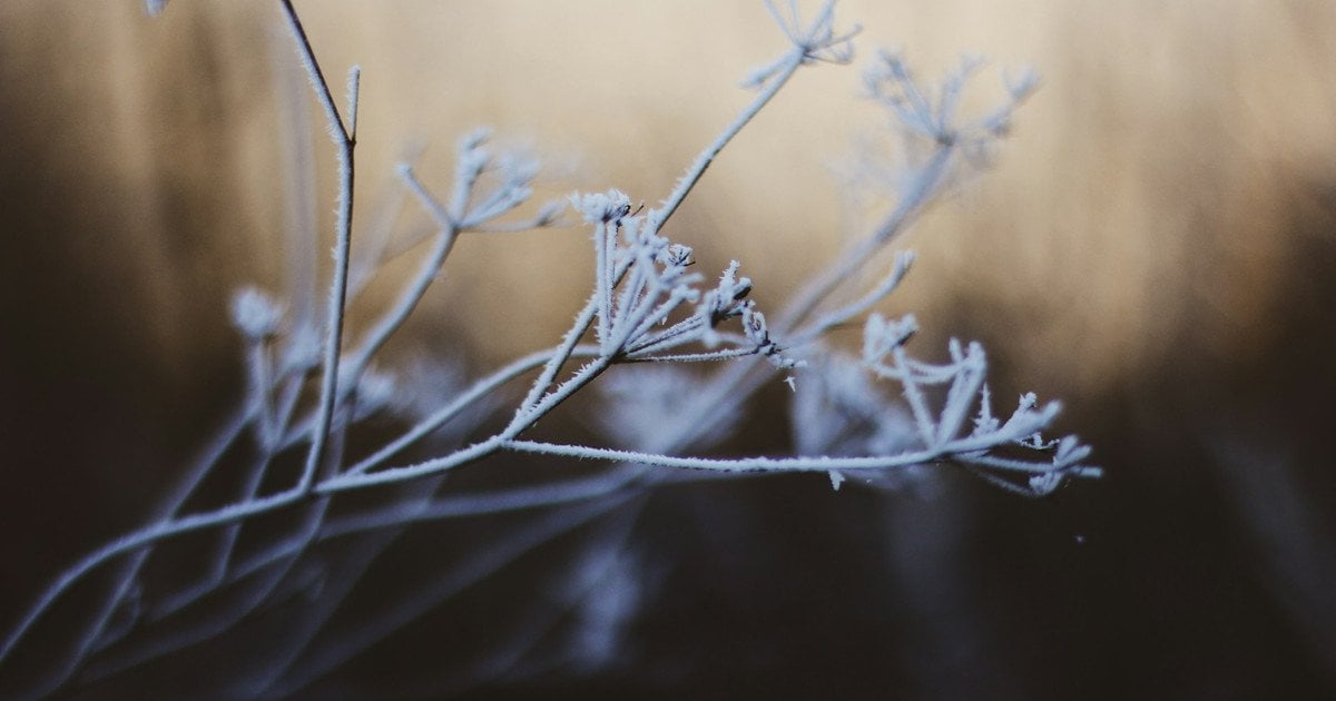 Який сьогодні, 14 грудня, день ангела