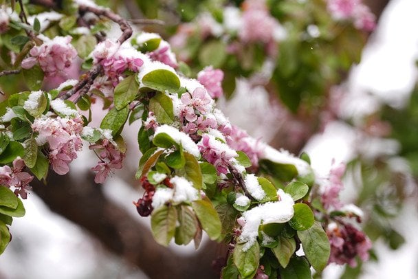 Морози посилюються: синоптики попередили про нову хвилю холоду