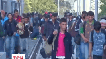 Угорщина завершила будівництво стіни на кордоні з Хорватією