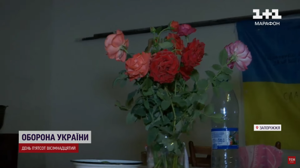 Троянди в укритті Гуляйполя / © ТСН