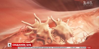 Хвороба аристократів: що таке і як лікується гемофілія