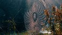 Який день ангела 18 вересня