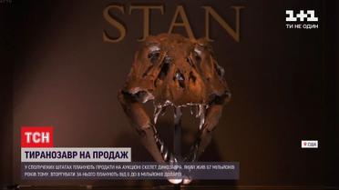 В Соединенных Штатах за 6 миллионов продадут знаменитого тираннозавра по имени Стэн