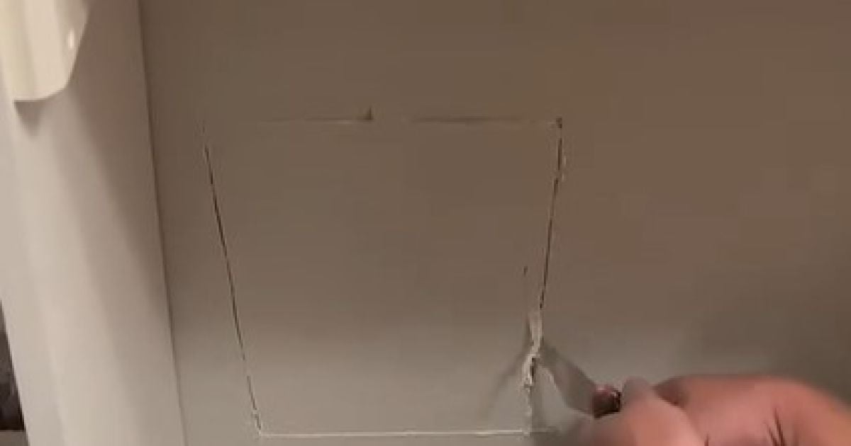 Кіт у стіні