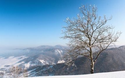 Вночі мороз, а вдень тепло: синоптики попередили про різкі перепади температури