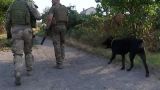Українські бійці беруть під опіку села "сірої зони" на Донбасі