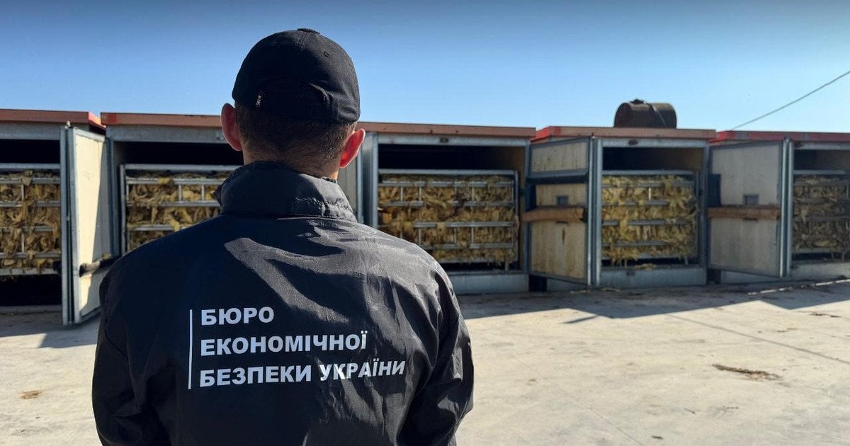 Ефективність БЕБ помітно зросла: за рік обсяги вилучення нелегального тютюну збільшилися майже на 60%