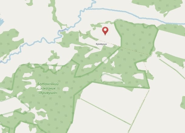 Село Кривуша на Чернігівщині / © cntime.cn.ua