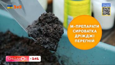 Дешево і без жодних нітратів: рецепт органічного добрива від Тоні Лесик