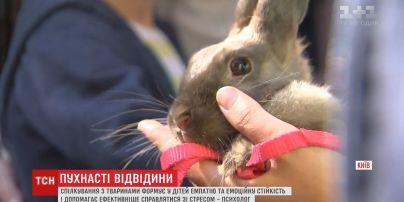 В "Охматдете" организовали выездной зоопарк для больных детей