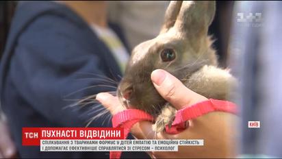 У "Охматдиті" організували виїзний зоопарк для хворих діток
