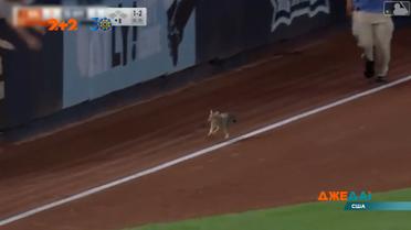 Добірка новин світу за 5 серпня 2021 року