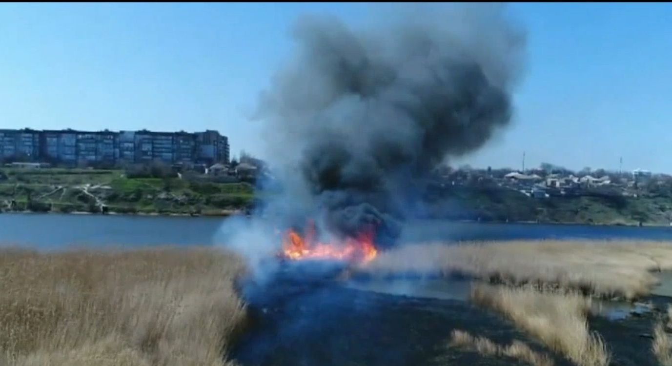На Николаевщине сгорело 45 гектаров камыша