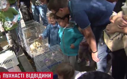 Тхір, змія та черепаха в "Охматдиті": київський зоопарк улаштував свято для хворих малюків