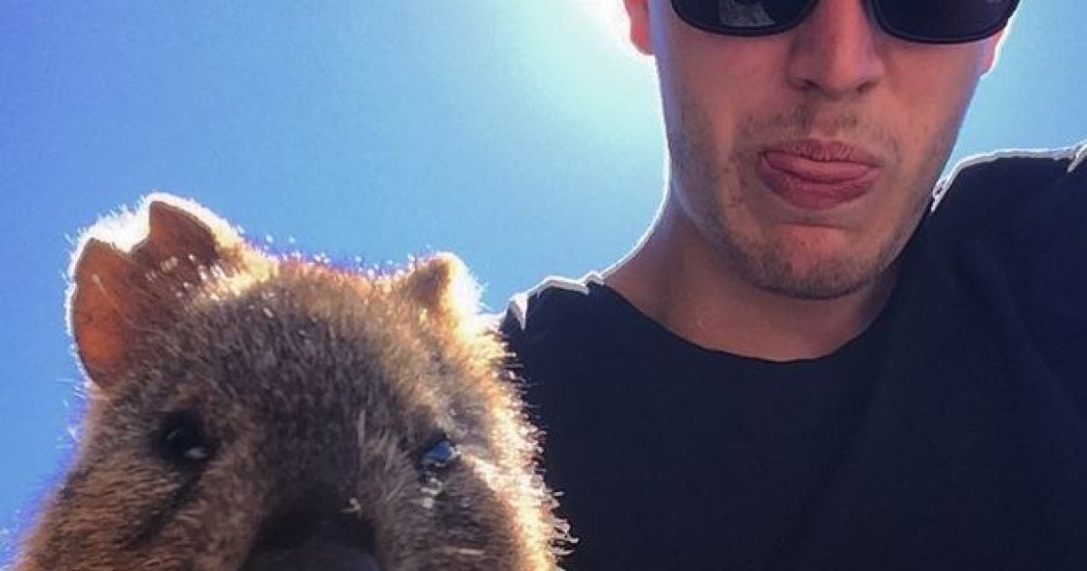 Туристы делают забавные фото с квокками