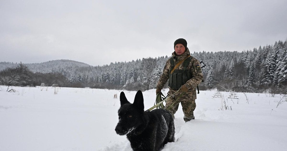 ДПСУ про небезпеку незаконного перетину кордону взимку