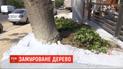 В Одессе строители замуровали дерево, которое мешало строить забор
