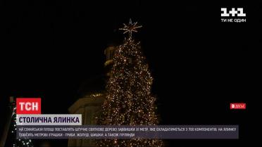 С шишками и фотокамерами: какой будет главная елка страны