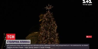 Із шишками і фотокамерами: якою буде головна ялинка країни