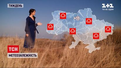 Метеозалежність: листопад почнеться дощем, а закінчиться снігом