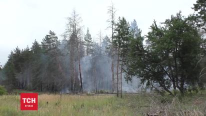 Замінований ліс на Луганщині гасили 25 пожежних машин