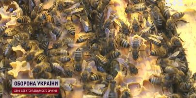 Пора покупать мед! Цены – рекордно низкие!