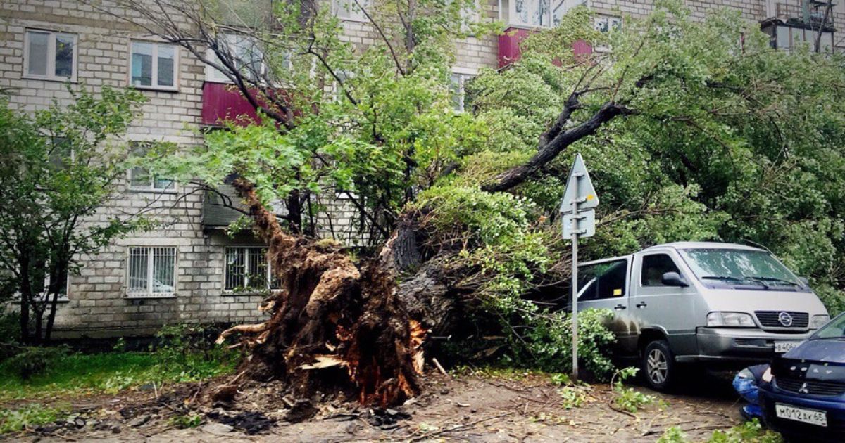 На Сахалині бушует непогода / © sakhalin.info