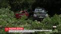 У Львові дерево розтрощило дві автівки