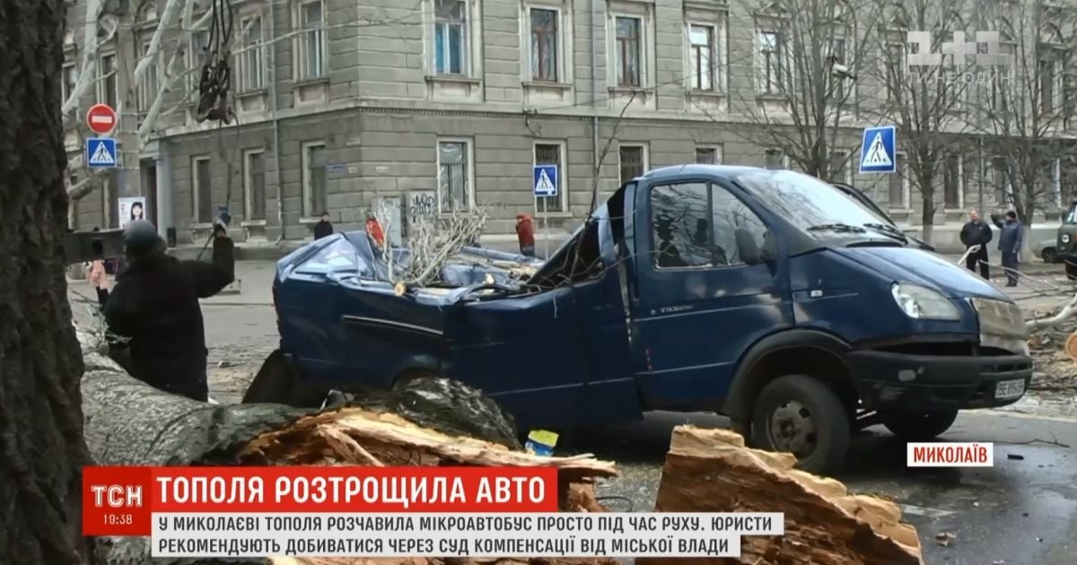 Водитель не может найти владельцев тополя, который разбил его бус в Николаеве